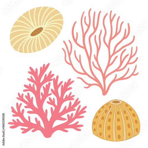 Underwater world elements, vibrant coral reef plants and unique marine shells illustration
