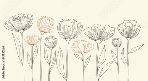 Elegant botanical illustration featuring a variety of beautiful line-art flowers like peonies and tulips on a light beige background.