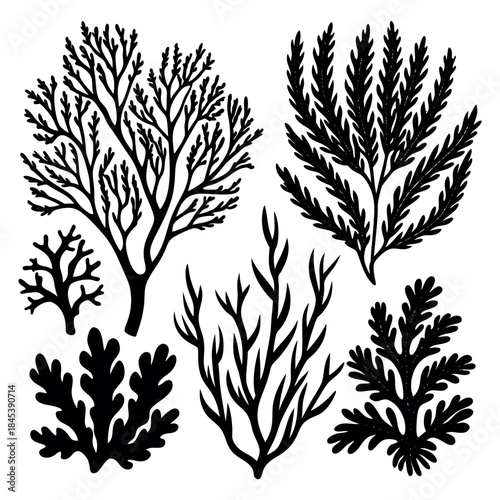 Diverse collection of black silhouette sea plant and coral vector illustrations