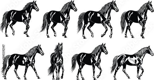 Detailed eight black walking horse silhouettes vector set, realistic equine collection, elegant animals in motion, majestic stallions illustration, equestrian design elements.