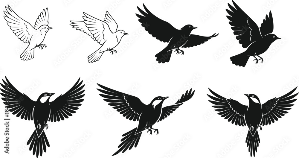 Obraz premium Set of bird outlines and black silhouettes in flight, featuring diverse wingspans and poses, symbolizing freedom, nature, and peace.