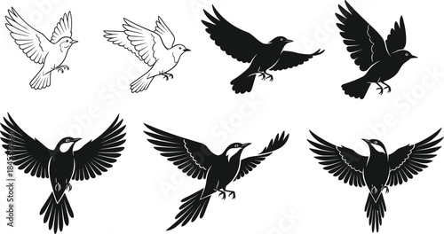 Set of bird outlines and black silhouettes in flight, featuring diverse wingspans and poses, symbolizing freedom, nature, and peace.