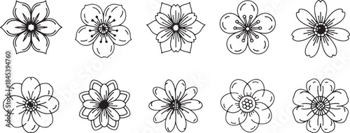 Black and White Floral Set Simple Flower Designs.