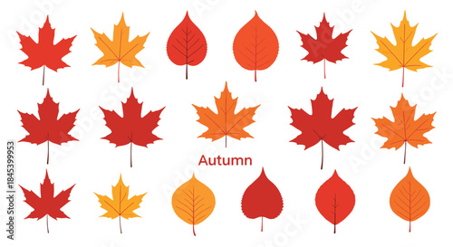 Colorful autumn leaves arranged in a decorative grid showcasing red orange and yellow hues with the word autumn centered among the foliage.