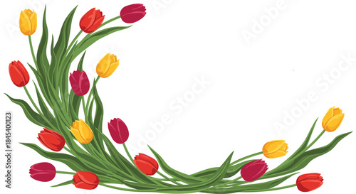 Vibrant tulip bouquet with yellow red and orange blooms arranged along a curved green stem border in a bright studio composition.