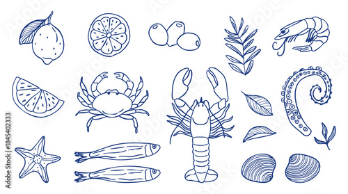 Doodle Collection of Seafood and Citrus, perfect for menu design, food packaging, scrapbooking, decoration. Vector illustration