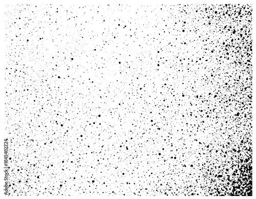 A high-contrast monochrome texture featuring dense speckles and tiny dots across a smooth surface. Ideal as a background or filler texture for design projects