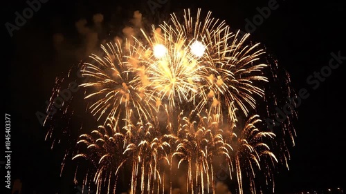 Spectacular Fireworks Display - A Night of Celebration and Light.