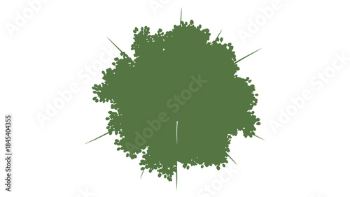 Top view of a green tree minimalist vector illustration for landscape design and architecture projec