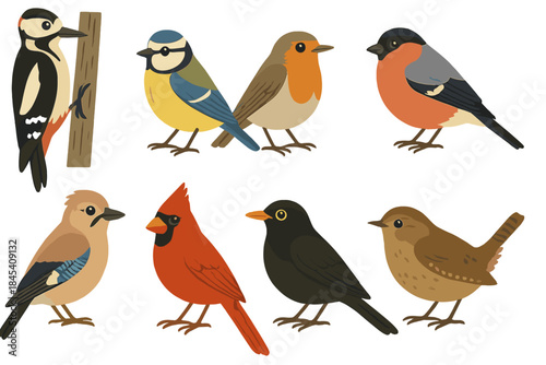 Common European and North American songbirds and garden birds isolated on white