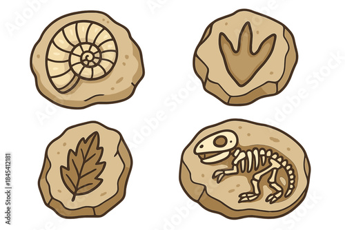 Collection of prehistoric fossils including ammonite, dinosaur skeleton, footprint, and ancient leaf