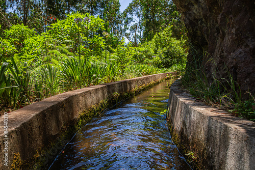 Levada Prazeres Raposeira Irrigation Channel in Madeira, Portugal | Kanał irygacyjny Levada Prazeres Raposeira na Maderze w Portugalii