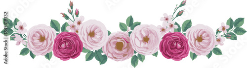 Panoramic watercolor style illustration of a spring rose bouquet border with red, mauve, and pink blossoms on a white background, vector illustration
