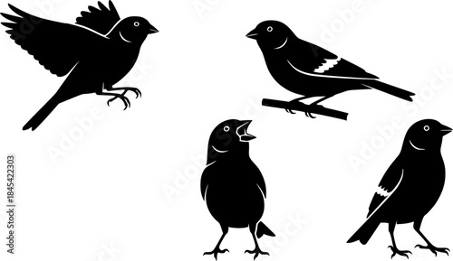 Canary bird silhouette, Bird silhouettes, Canary, Canary vector, Canary 