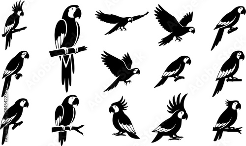 Parrot silhouette, Parrot vector, Birds silhouette, Parrot, Parrot icon