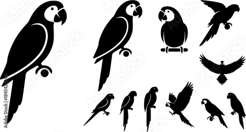 Parrot silhouette, Parrot vector, Birds silhouette, Parrot, Parrot icon