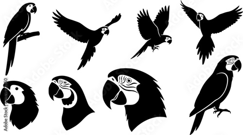Parrot silhouette, Parrot vector, Birds silhouette, Parrot, Parrot icon