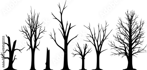 Dead tree silhouette, Bare tree silhouettes, Tree silhouette