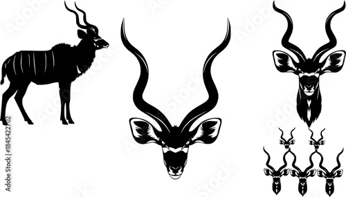 Kudu Silhouette, Kudu Horn Silhouette, Antlers Silhouette, Kudu Head, Kudu , Kudu Head Silhouettes