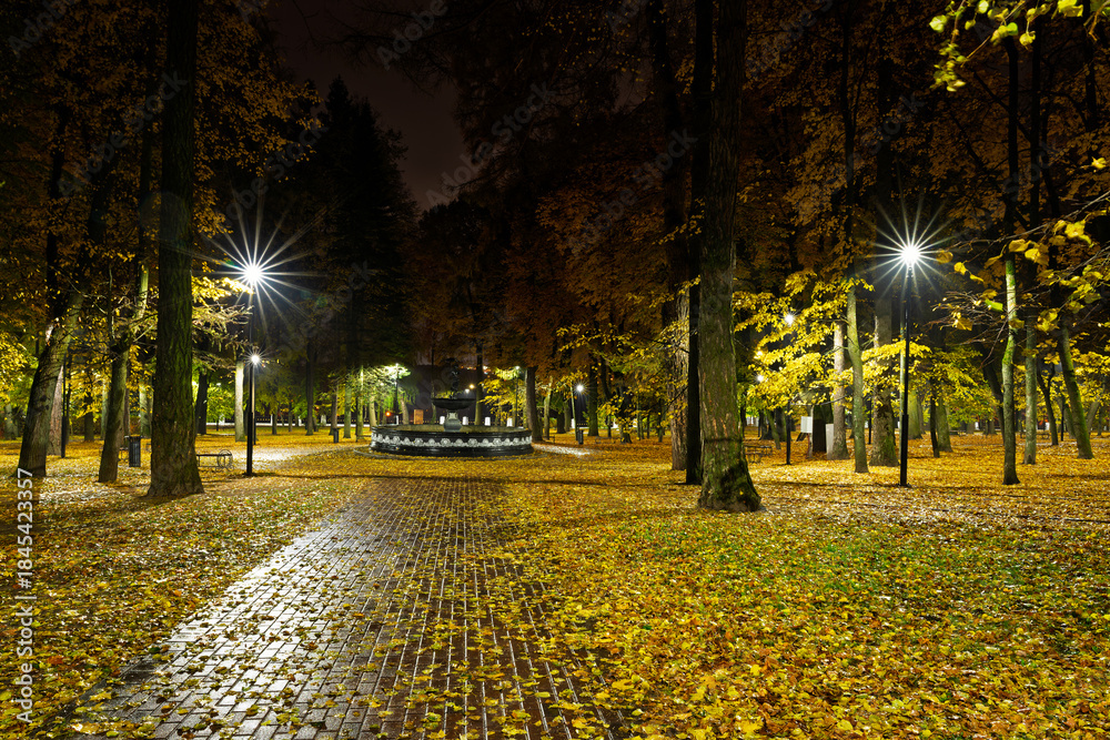 Obraz premium Empty park alley at night with fallen golden leaf and glowing street light. Autumn landscape with warm illumination for seasonal background.
