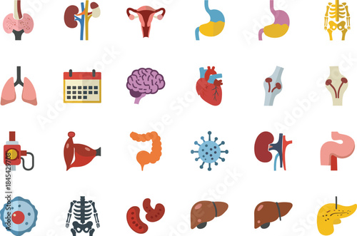 Set of human internal organs flat icons, medical vector illustrations including heart, brain, lungs, liver, kidneys, stomach, skeleton, and anatomy symbols for healthcare education projects.