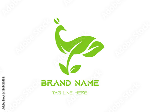 peacock logo set vector