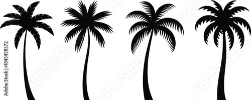Palm tree silhouette vector collection, tropical black icons, curved trunks, frond variations, botanical design elements, nature illustration, summer landscape graphic