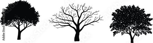Tree silhouette icons set featuring leafy and bare trees natural forest elements botanical black vector illustration collection