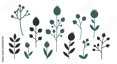 Collection of stylized botanical illustrations featuring various plants and berries in muted tones.