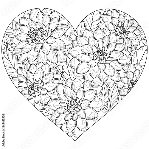 Heart of dahlias.Coloring book antistress for children and adults.