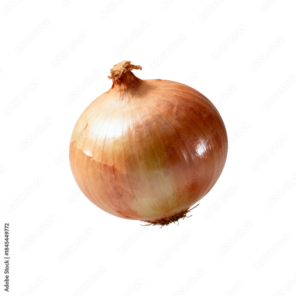 custom made wallpaper toronto digital[Transparent Background PNG]Fresh brown onion with smooth outer skin and round shape