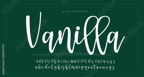 signature Font Calligraphy Logotype Script Brush Font Type Font lettering handwritten. vector illustration 