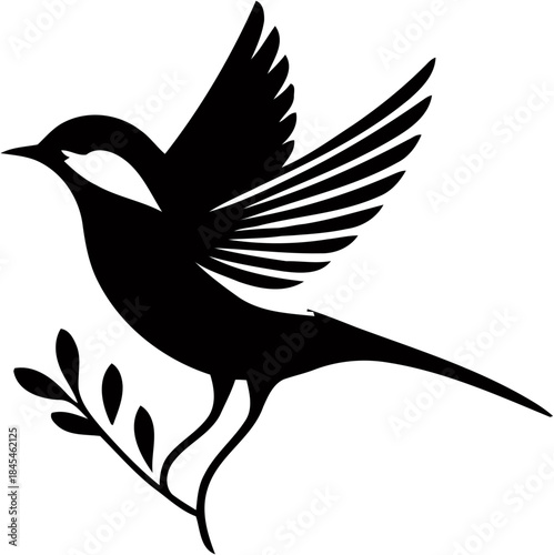 vector illustration of a bird