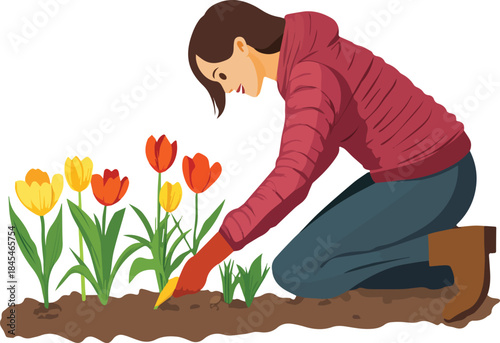 Woman kneeling in garden planting or tending to yellow and orange tulips in soil with gardening glove and boots illustration