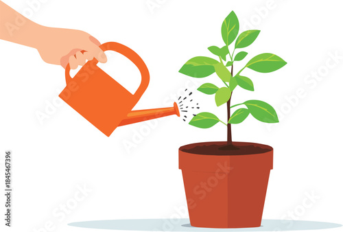 Hand watering a small green plant growing in a terracotta pot with an orange watering can concept for growth and care