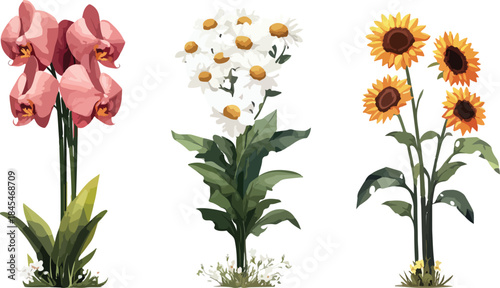 Pink Orchid White Daisies and Bright Yellow Sunflowers Grouped Together on White Background Botanical Arrangement Tropical Exotic and Field Flowers for Greeting