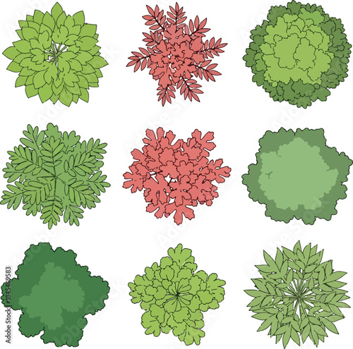 Set of Nine Top View Tree and Shrub Plan Symbols Hand Drawn Landscape Architecture Elements Green and Red Foliage