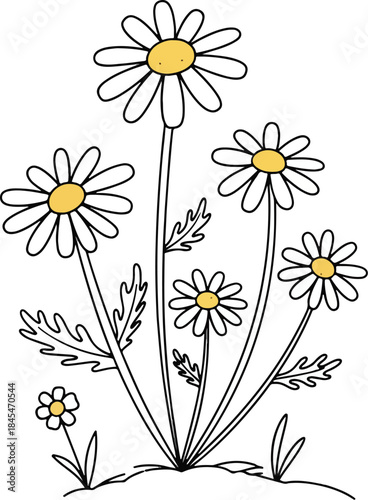 Cute simple black outline daisy flower drawing coloring page illustration with yellow center isolated on white background for kids craft project kindergarten