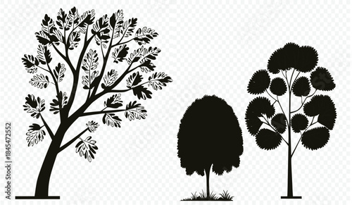 silhouettes of trees on a background for architectural projects and models.