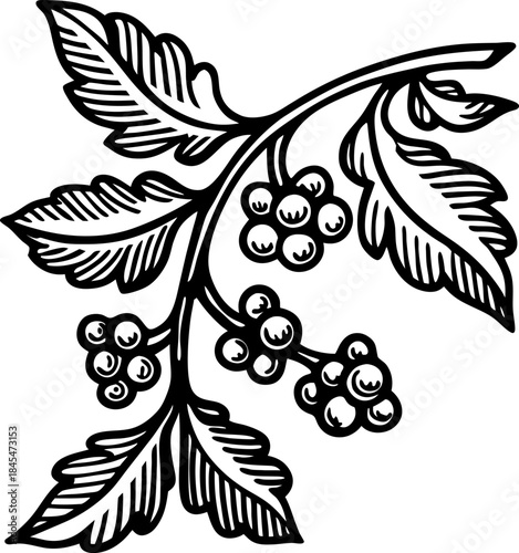 Decorative berry branch illustration with leaves and berries in vintage botanical