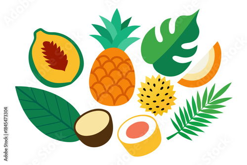 Tropical fruits and leaves illustration