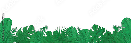 Tropical leaves border banner. Hand drawn isolated transparent background for seasonal sale design or product.