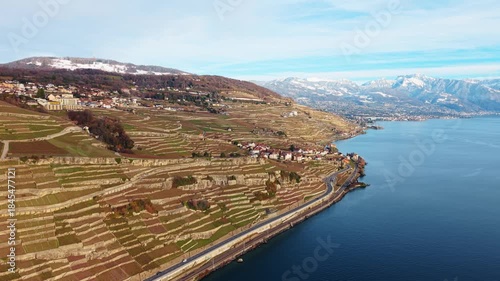 Aerial view of the terraced vineyards cascading towards the serene lake, contrasting with the snow-capped mountains in the distance, Bourg-en-Lavaux, Vaud, Switzerland.