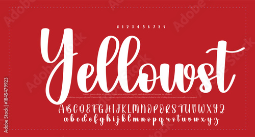 
Signature script lettering font 