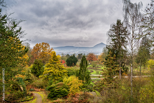 A view of the rose garden in Sangerhausen in autumn