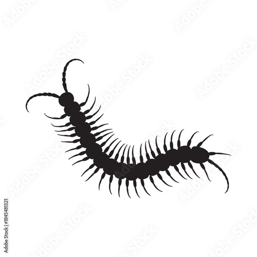 A striking black silhouette depicts a centipede with many legs crawling