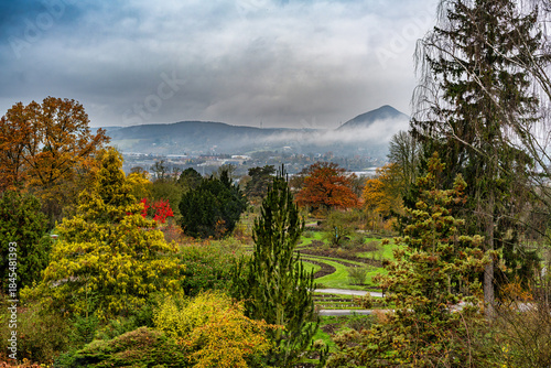 A view of the rose garden in Sangerhausen in autumn