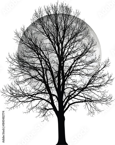 Bare tree silhouette against full moon