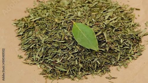 Wallpaper Mural Single Bay Leaf on Dried Pile Torontodigital.ca