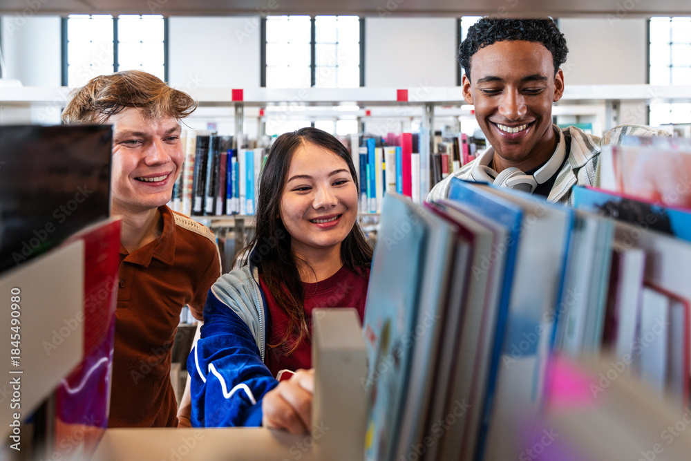 custom made wallpaper toronto digitalMultiethnic students finding books in library bookshelf